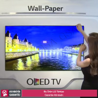 LG 55EJ5C 1,2mm Bezel Full HD OLED Wallpaper Monitör